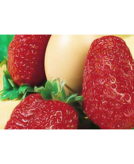 Клубника Мармелада (Упаковка 5шт) Клубника Мармелада (Упаковка 5шт)