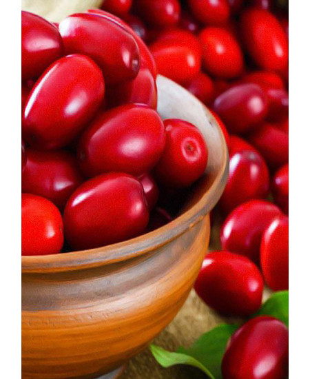 Кизил Мосвир Кизил Мосвир