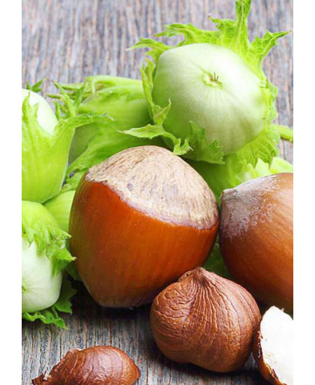 Фундук Перестройка Фундук Перестройка