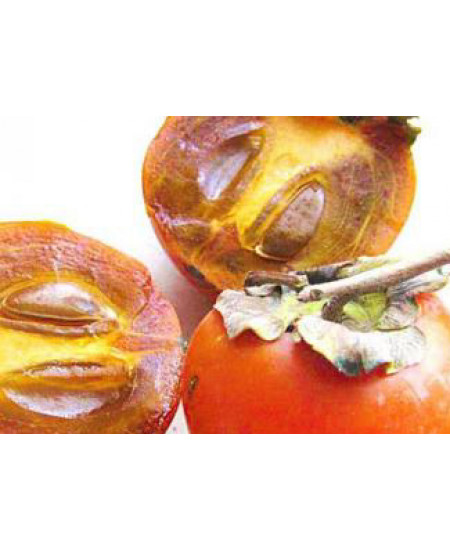 Хурма Шоколадная Хурма Шоколадная