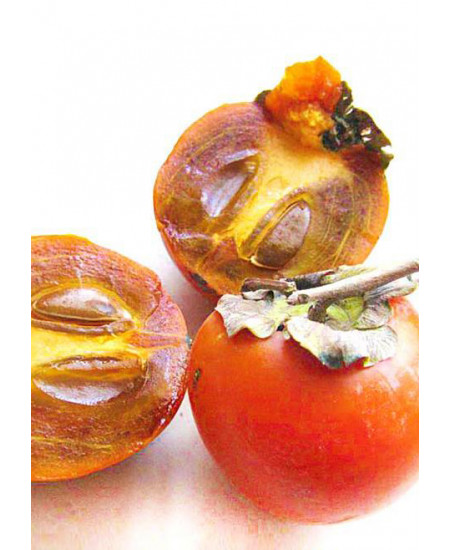 Хурма Шоколадная Хурма Шоколадная