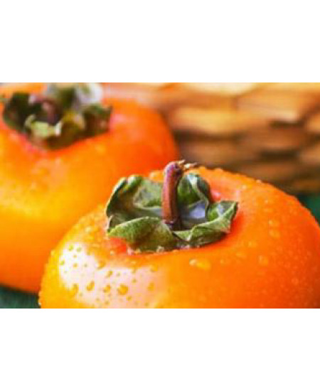 Хурма Королек Хурма Королек