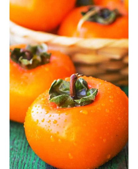 Хурма Королек Хурма Королек