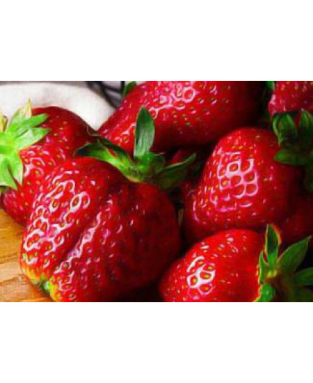 Клубника Азия (Упаковка 5шт) Клубника Азия (Упаковка 5шт)