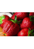 Клубника Азия (Упаковка 5шт) Клубника Азия (Упаковка 5шт)