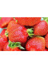 Клубника Машенька (Упаковка 5шт) Клубника Машенька (Упаковка 5шт)