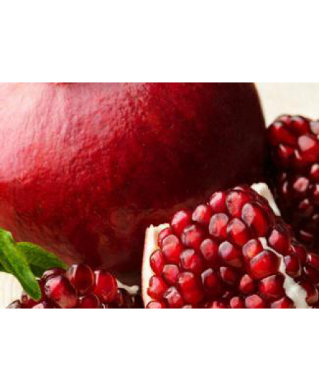 Гранат Уличный Гранат Уличный