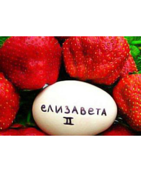 Клубника Королева Елизавета 2 Клубника Королева Елизавета 2