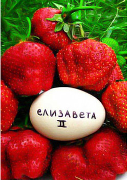 Клубника Королева Елизавета 2