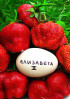 Клубника Королева Елизавета 2 Клубника Королева Елизавета 2