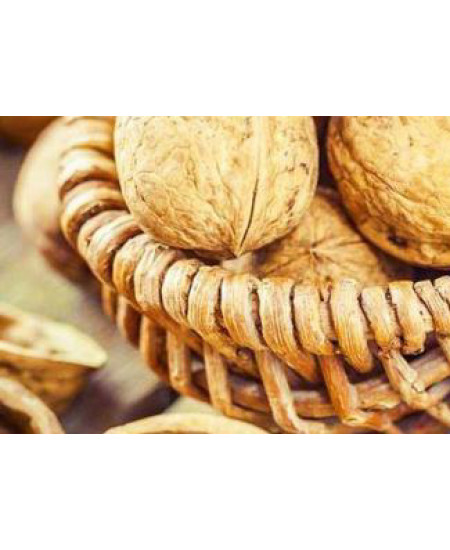 Орех грецкий Буковинский Орех грецкий Буковинский