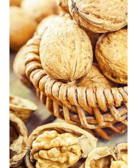 Орех грецкий Буковинский Орех грецкий Буковинский