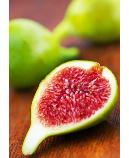 Инжир Далматский Инжир Далматский