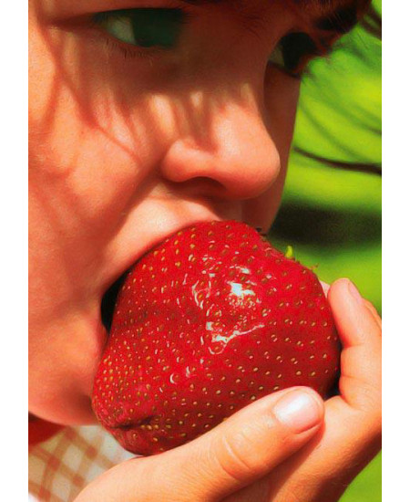 Клубника Гигантелла (Упаковка 5шт) Клубника Гигантелла (Упаковка 5шт)