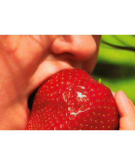 Клубника Гигантелла (Упаковка 5шт) Клубника Гигантелла (Упаковка 5шт)