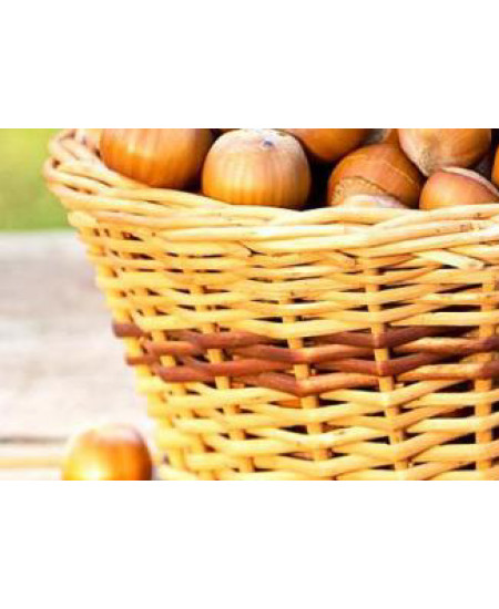 Фундук Шедевр Фундук Шедевр