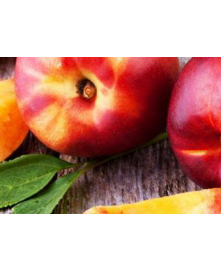 Нектарин Фентези Нектарин Фентези