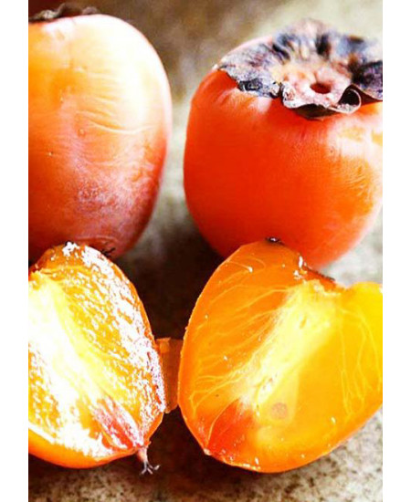 Хурма Шарон Хурма Шарон