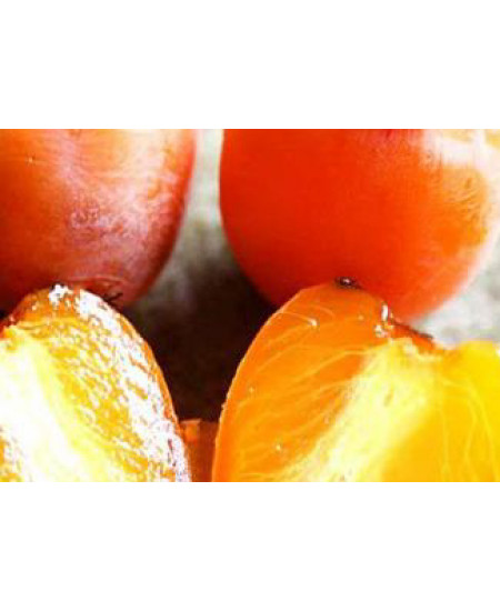 Хурма Шарон Хурма Шарон