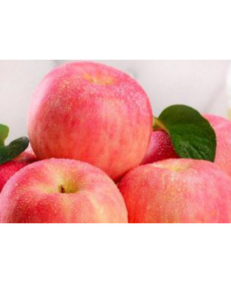 Яблоня Фуджи Яблоня Фуджи