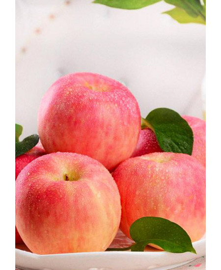 Яблоня Фуджи Яблоня Фуджи