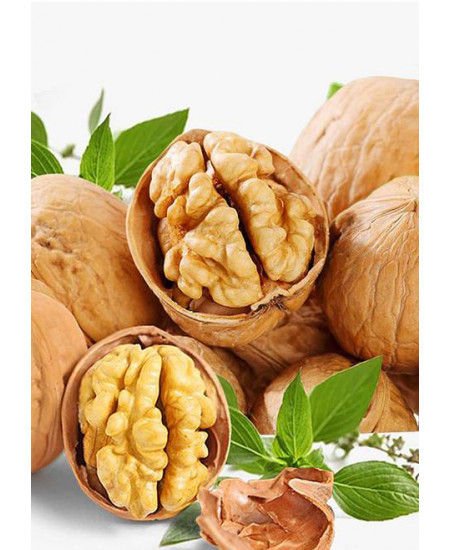 Орех грецкий Десертный Орех грецкий Десертный