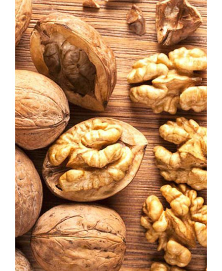 Орех грецкий Заря востока Орех грецкий Заря востока