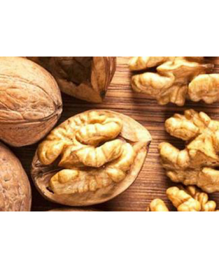 Орех грецкий Заря востока Орех грецкий Заря востока