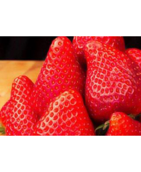 Клубника Зарница (Упаковка 5шт) Клубника Зарница (Упаковка 5шт)