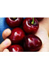 Черешня Крупноплодная Черешня Крупноплодная