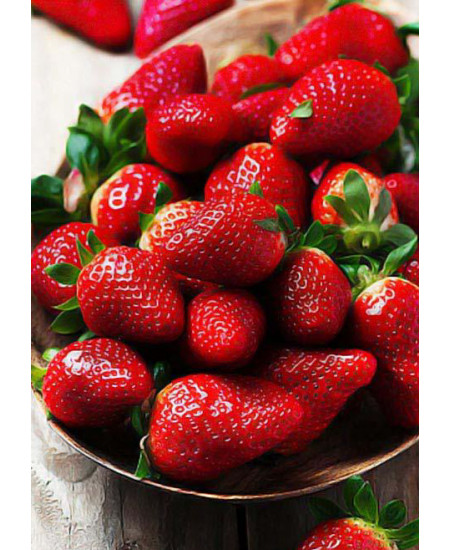 Клубника Роксана (Упаковка 5шт) Клубника Роксана (Упаковка 5шт)