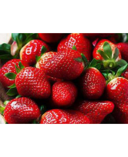 Клубника Роксана (Упаковка 5шт) Клубника Роксана (Упаковка 5шт)