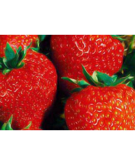 Клубника Виктория (Упаковка 5шт) Клубника Виктория (Упаковка 5шт)