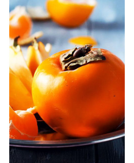 Хурма Россиянка Хурма Россиянка